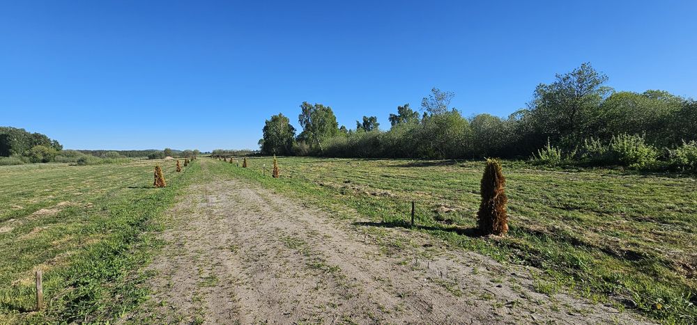Działki nad morzem ;) - More