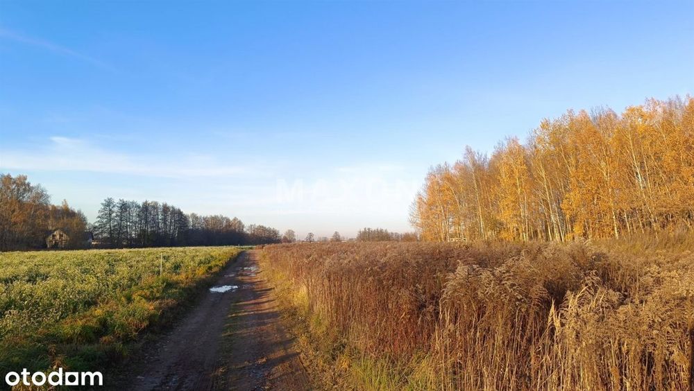 Działka pod budomnictwo jednorodzinne plan miejsco - Widok 5