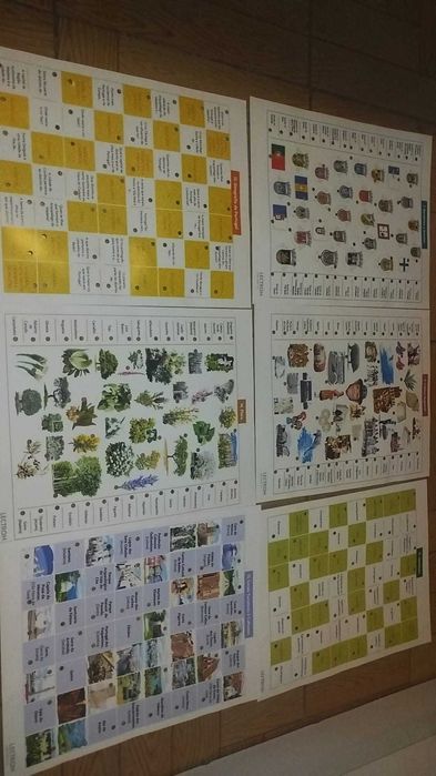 Jogo "Lectron Portugal" da Diset