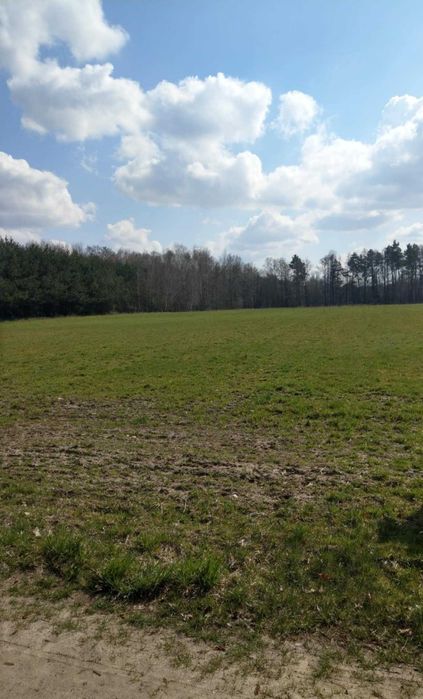 Działka budowlana na sprzedaż Rudzienko