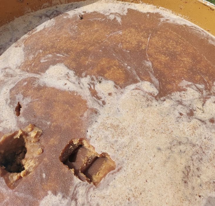 Miód pszczeli wiaderka,ule,roje,rodziny pszczele,pasieka,pszczoły