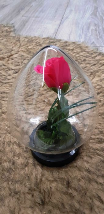 Kwiat w szkle z PRL-U