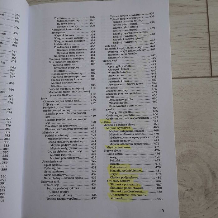 Anatomia Człowieka Pituchowa