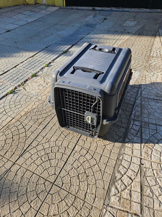 Transportadoras de cães
