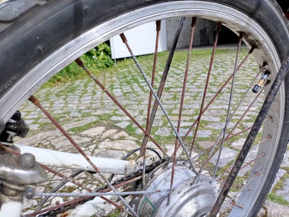 Bicicleta eléctrica