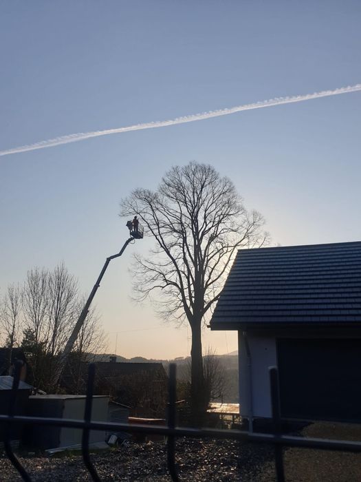 Wycinka drzew, Pielęgnacja drzew i ogrodów, Usługi rębakiem