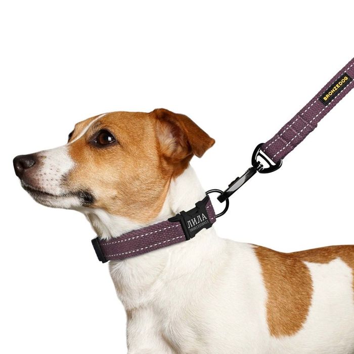 Ошейник и Поводок для Собак Брезент 2 м 3 м 5 м Нашийник Котон Х/Б