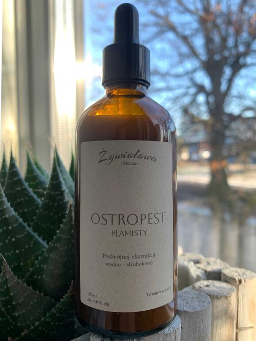 OSTROPEST PLAMISTY - ekstrakt (wodno-alkoholowy) - wsparcie WĄTROBY