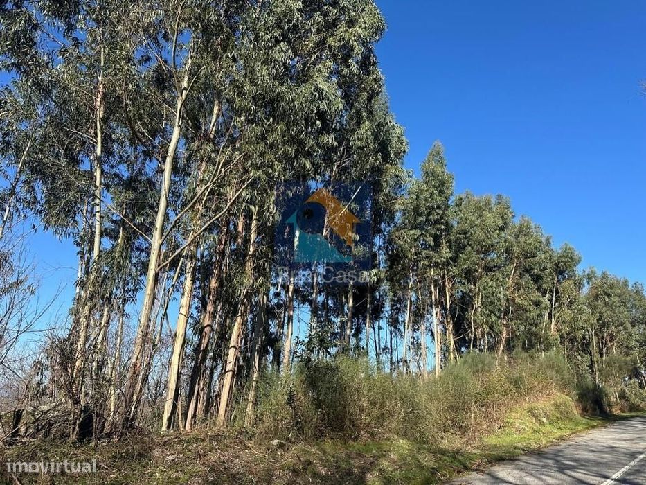 Venda Terreno — Aboim, Felgueiras, Gontim E Pedraído, Braga