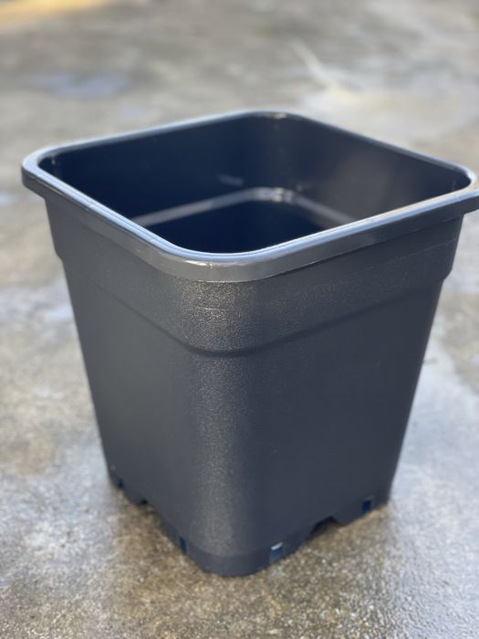 Lote de 100 vasos de 18L