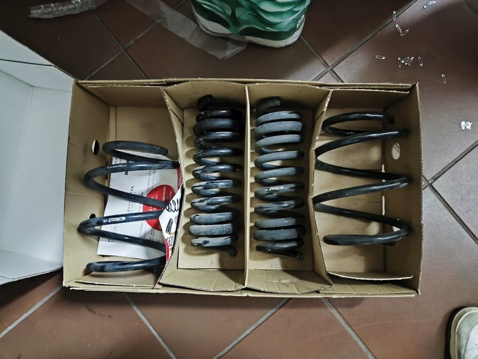 Molas Eibach BMW F87 M2 competion