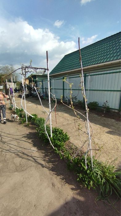 ‼️Сертификат‼️.Продается дом,Балабановка,можно по сертификату