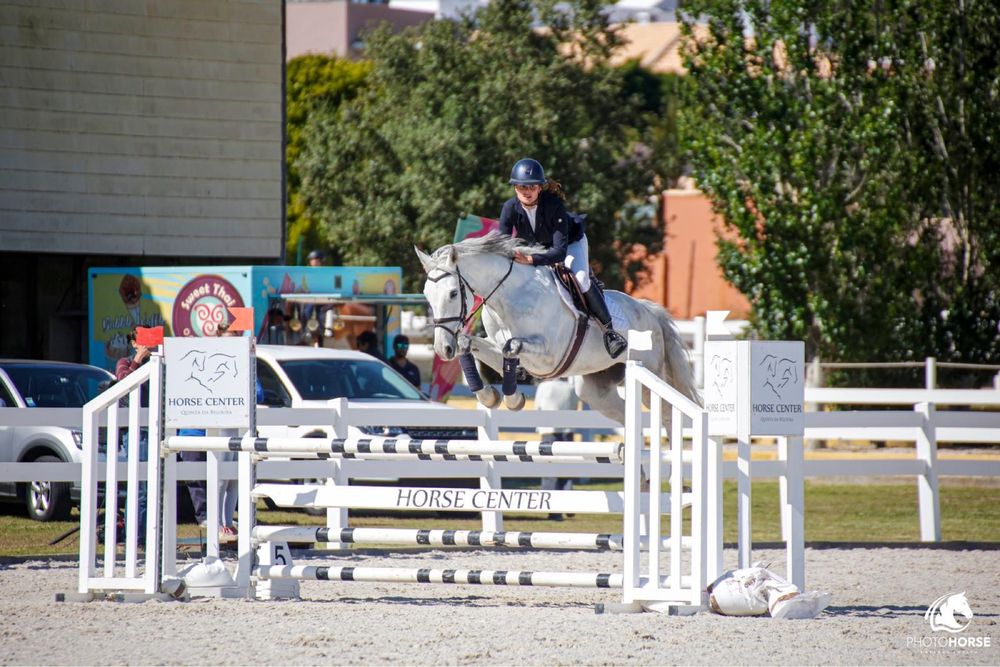 Cavalo de obstaculos BWP