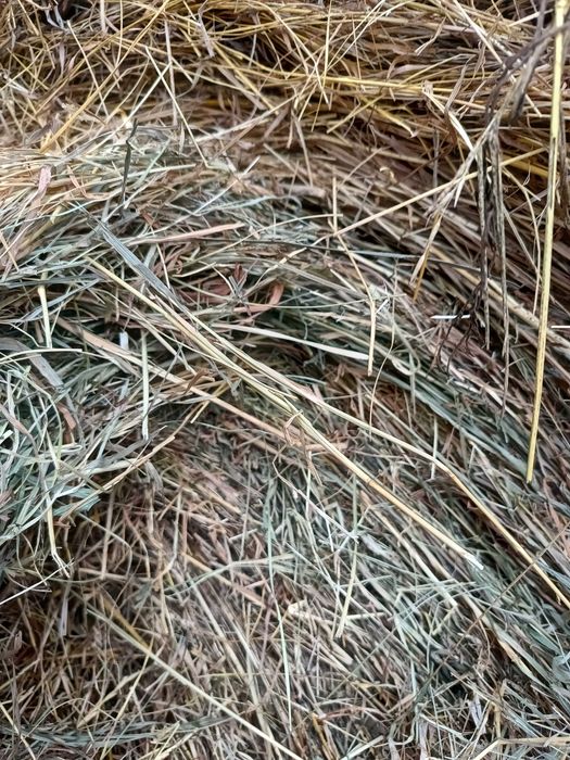 Siano ładne suche pachnące