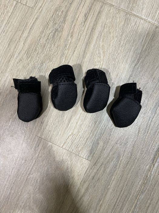 Взуття для собак/котів