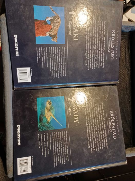 Książka królestwo zwierząt