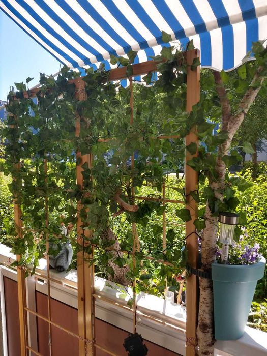 Sztuczny bluszcz 50 m na ścianę balkon taras dekoracja 50 metrów