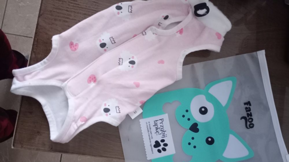 Ubranko pooperacyjne dla kota