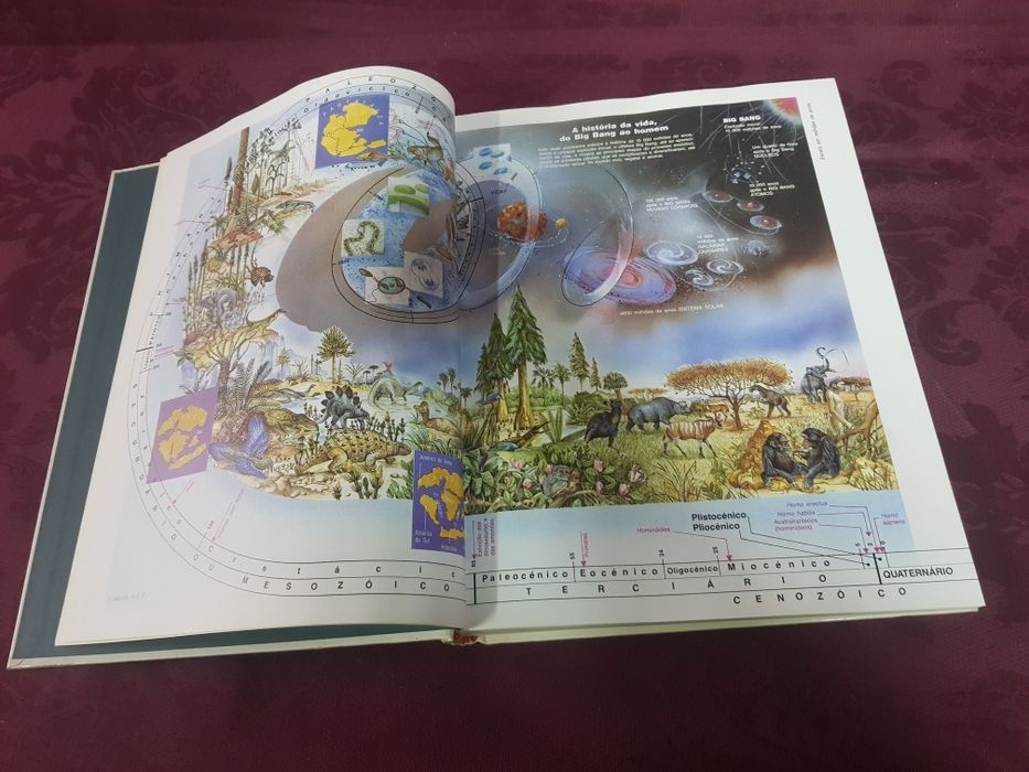 Livro A aventura da vida