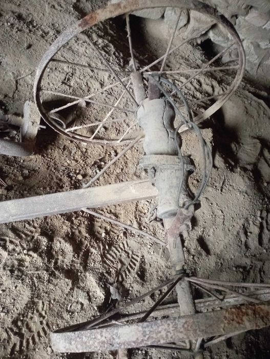 Kolca konne zabytkowe