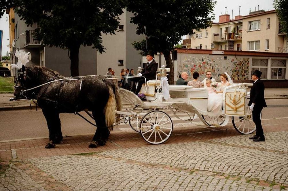 bryczką do ślubu i w uroczystości- komunie, jubileusze,  festyny,