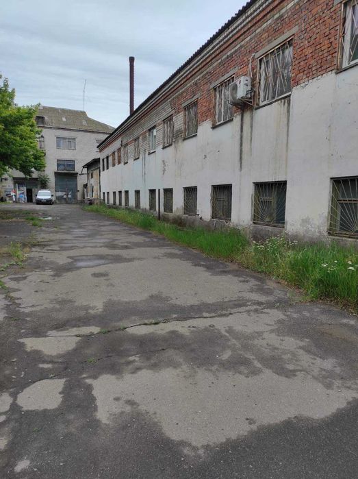 Оренда приміщень вільного призначення від 15 до 3000 м², Центр