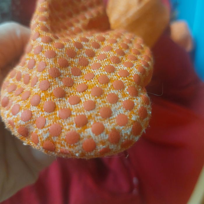 Pajacyk,  śpioszek dynia