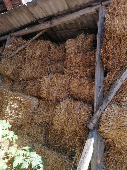 Słoma  kostka owsiana