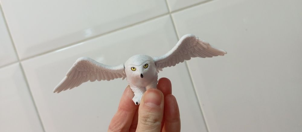 Coruja harry potter