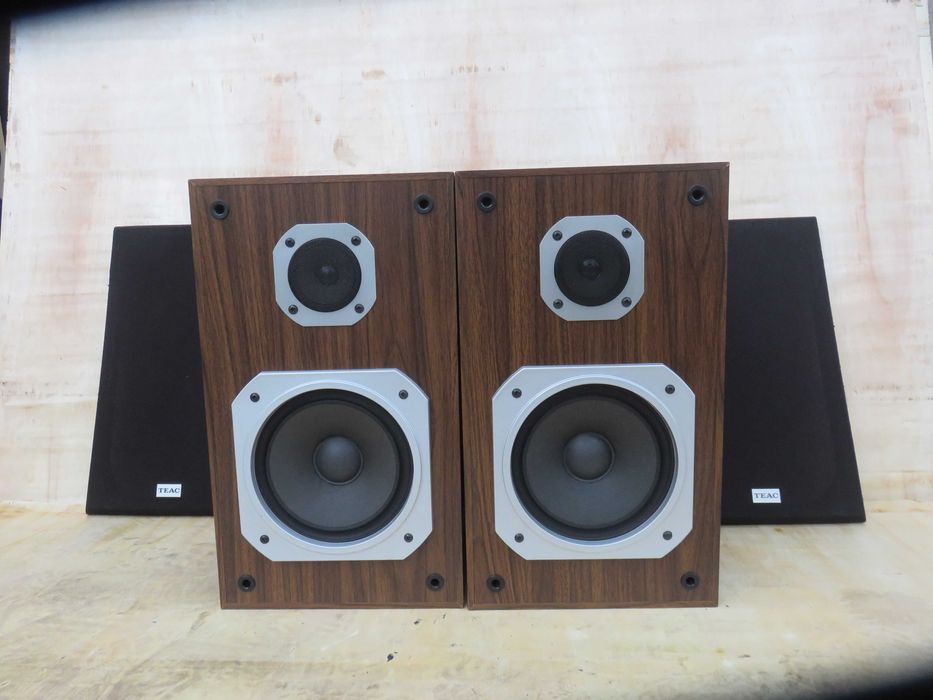 Kolumny monitory Teac S-1