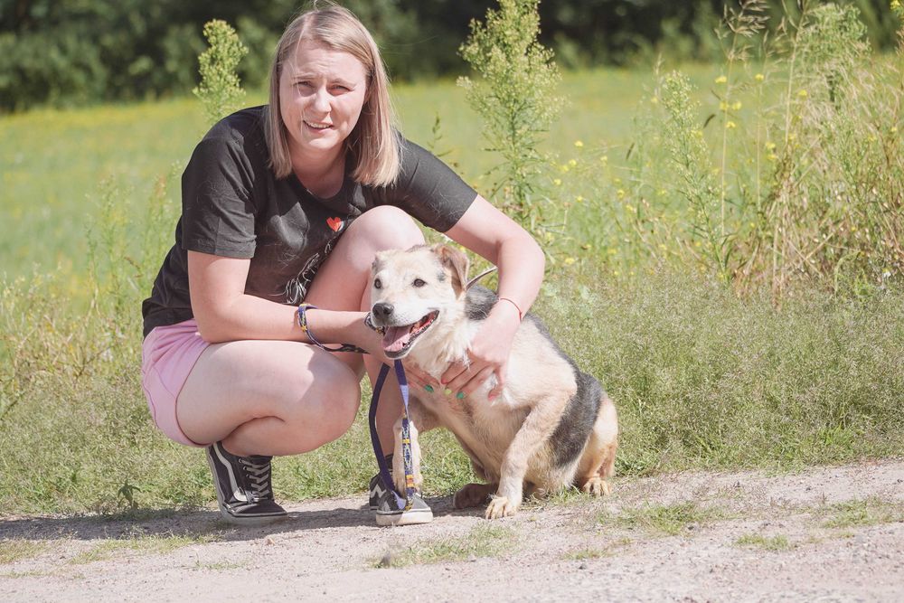 WINSTON - cudowny psi senior czeka na dom
