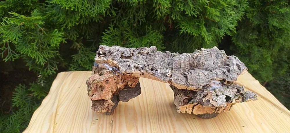 Grota z debu korkowego 28x13 cm.