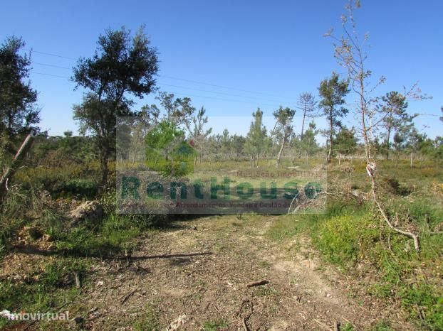 Terreno Para Construção Junto a Coimbra