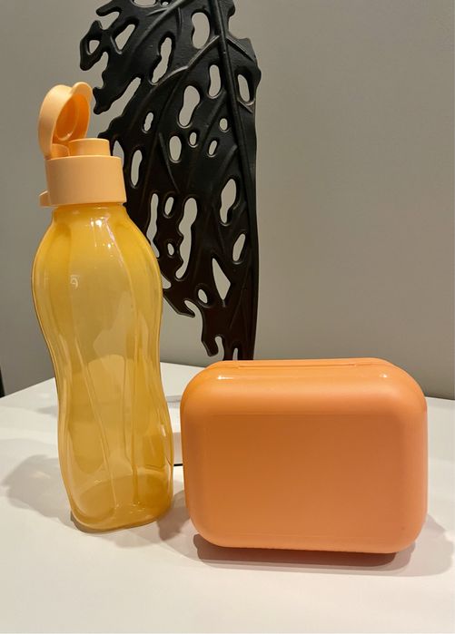 Regresso á escola com a tupperware