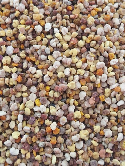 PYŁEK KWIATOWY pszczeli 500g, kolorowy z własnej pasieki Ojców, Beskid