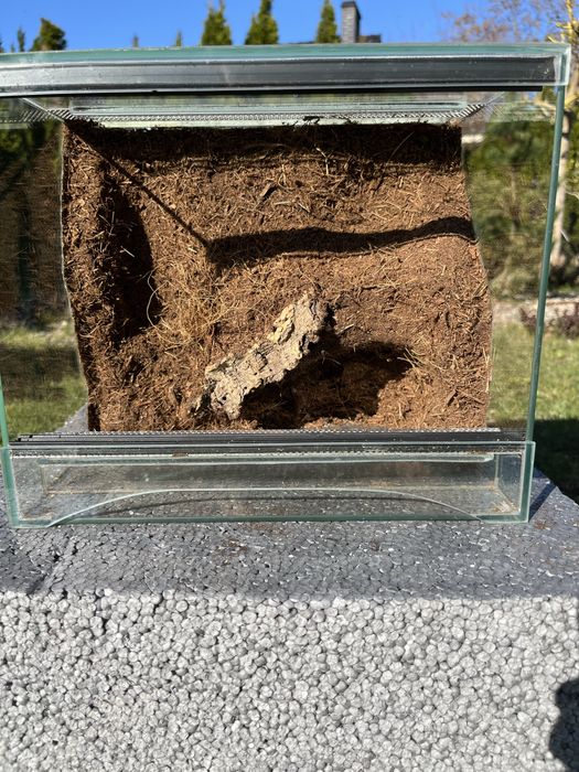 Terrarium z tłem strukturalnym
