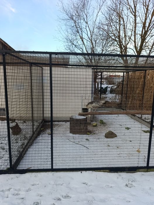 Woilera, klatka dla drobiu