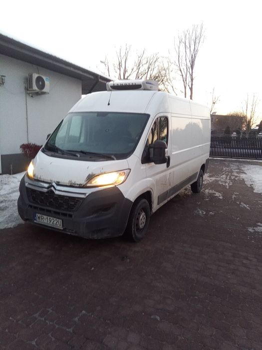 Citroen Jumper chłodnia