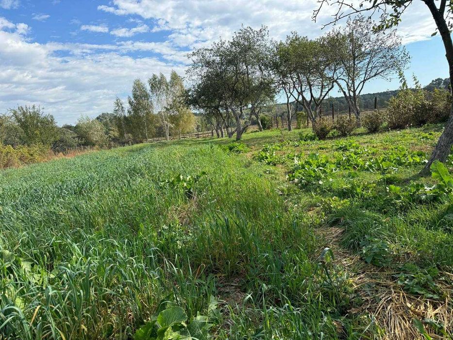 Будинок в передмісті Чернігова