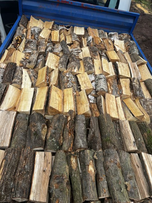 drewno kominkowe i opałowe