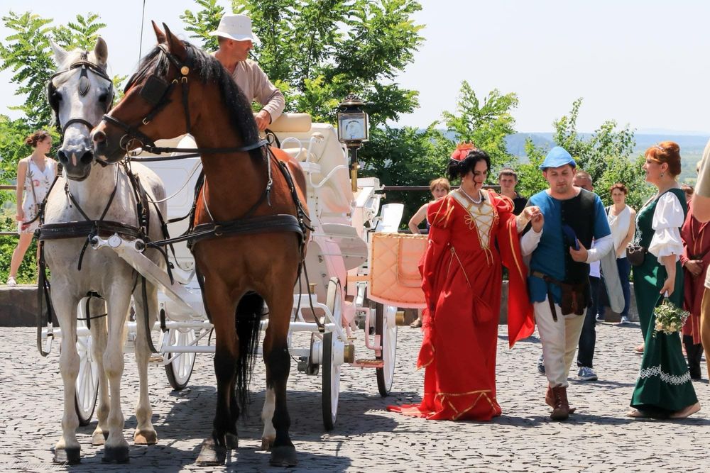 Карета Vis-a-Vis с золотим салоном.