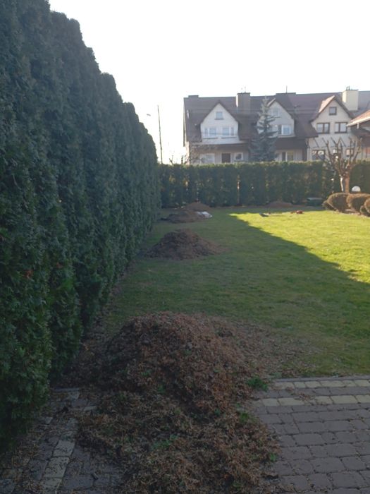 Wertykulacja trawnika aeracja