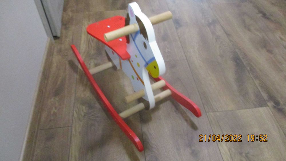 konik na biegunach,