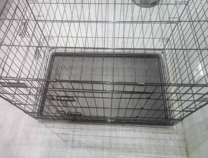 Jaula/Crate/Box para cão