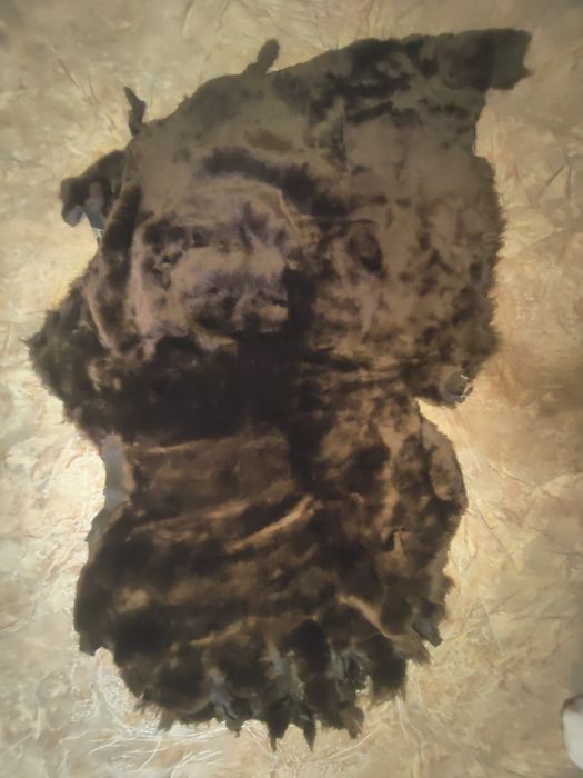 продам натуральный мутон шкура