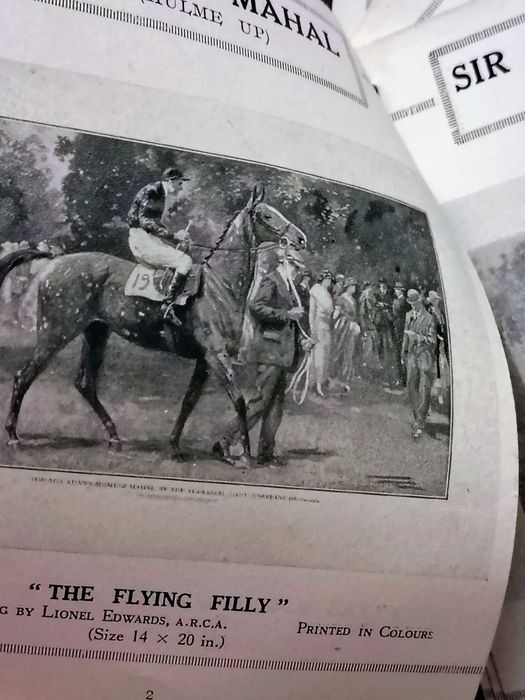 Cavalos Corrida - 30 Gravuras Lionel Edwards 1920