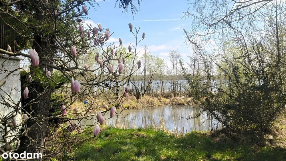 Dom nad jeziorem 10 km od centrum Bydgoszczy, z własną linią brzegową.