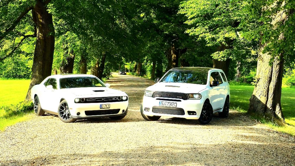 Wynajem auta do ślubu Dodge Challenger Durango