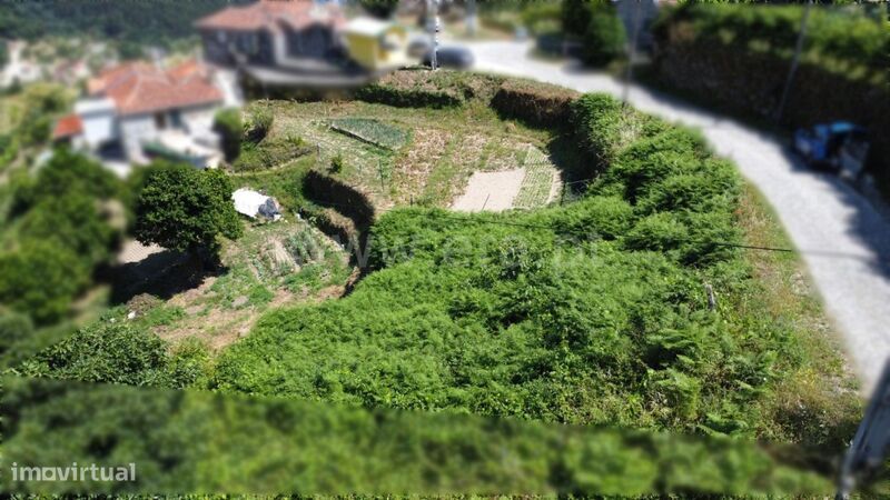 Terreno / Baião, Gove