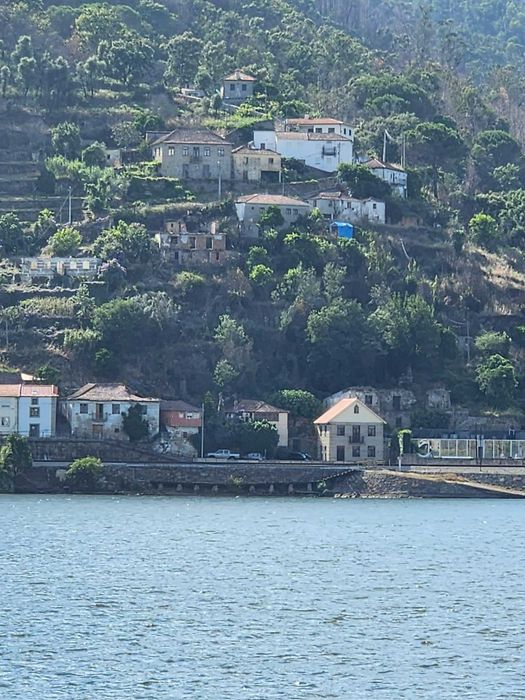 Terreno Urbano, na Margem do Rio Douro, com duas casas para Recuperar - Baião ( Ancede e Ribadouro )